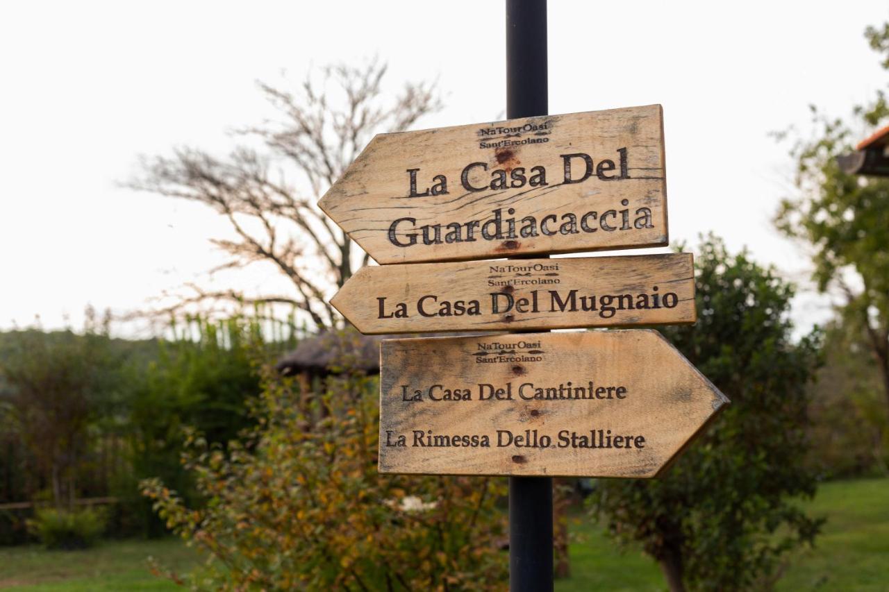 Natouroasi Agriturismo * Monte San Savino
